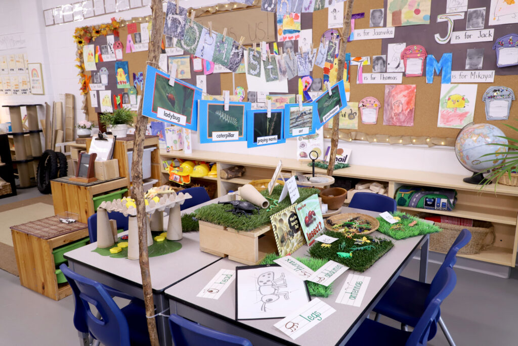 Areas-for-Learning-classroom-setup7